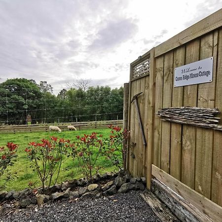 Crown Ridge Miners Cottage Karangahake Ngoại thất bức ảnh