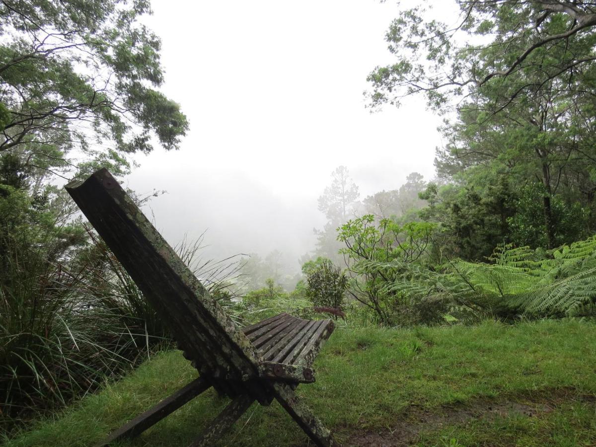 Crown Ridge Miners Cottage Karangahake Ngoại thất bức ảnh