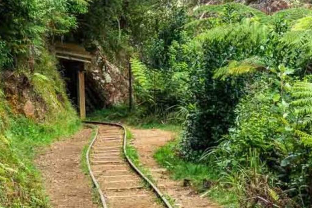 Crown Ridge Miners Cottage Karangahake Ngoại thất bức ảnh