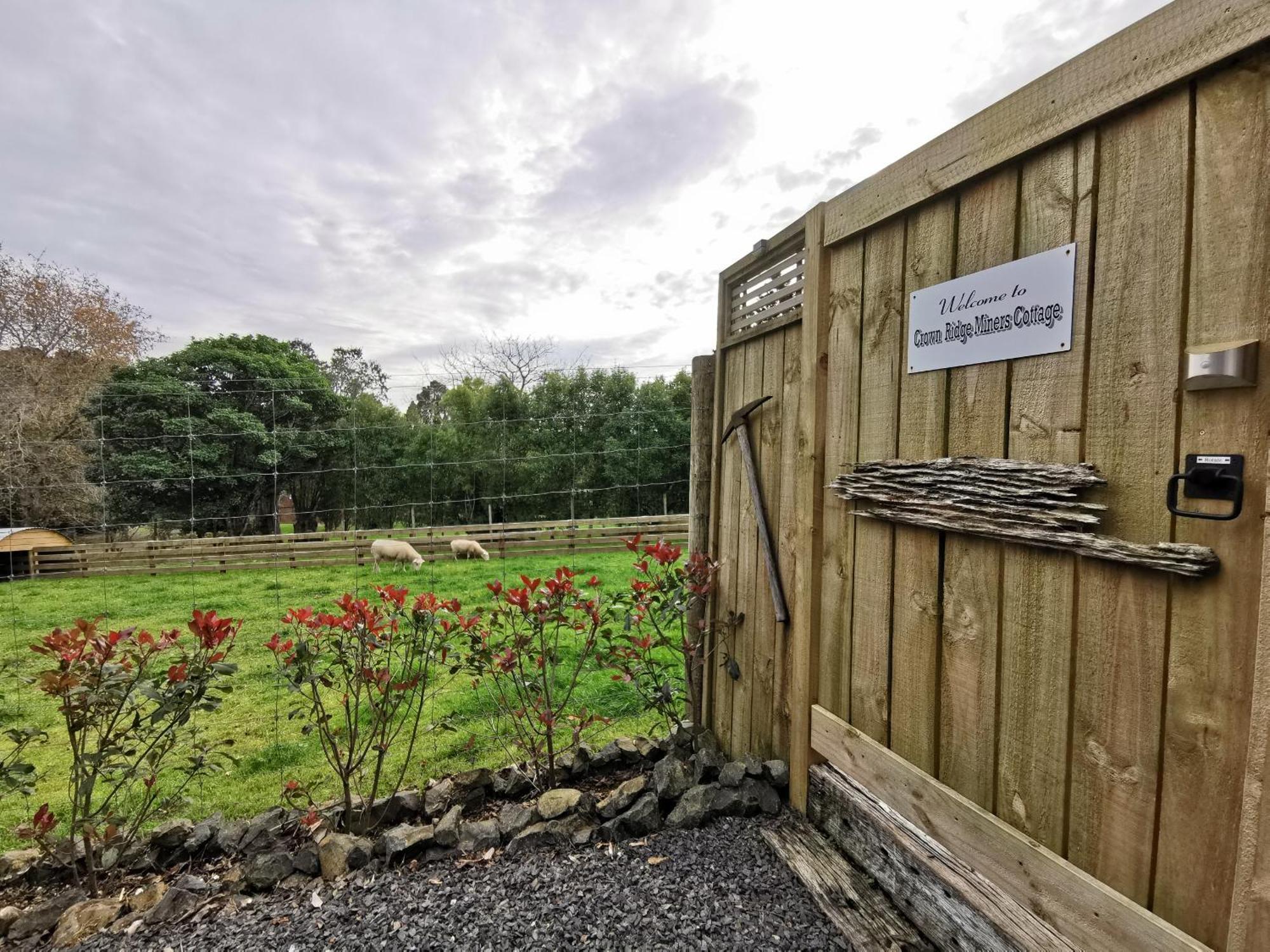 Crown Ridge Miners Cottage Karangahake Ngoại thất bức ảnh