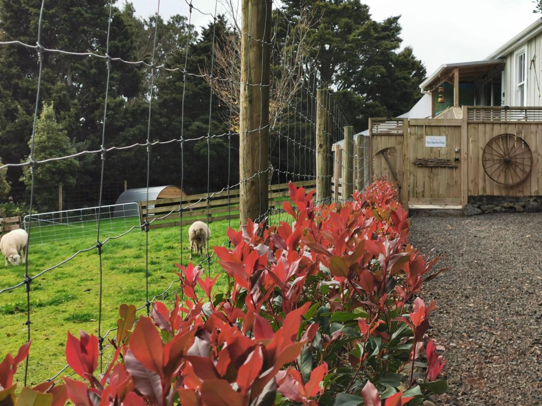 Crown Ridge Miners Cottage Karangahake Ngoại thất bức ảnh