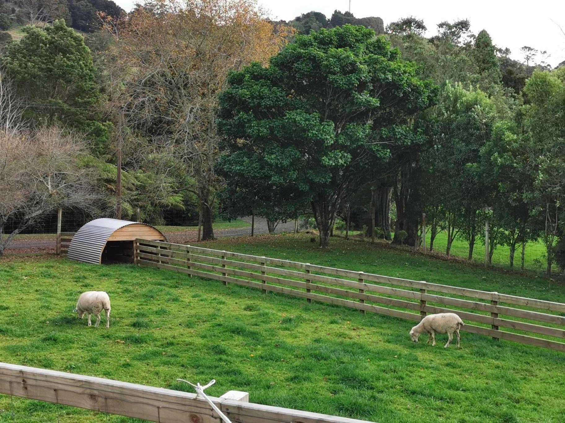 Crown Ridge Miners Cottage Karangahake Ngoại thất bức ảnh